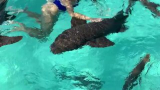 wicked Ariel lilit / Angelsetfree reddit Full Movie