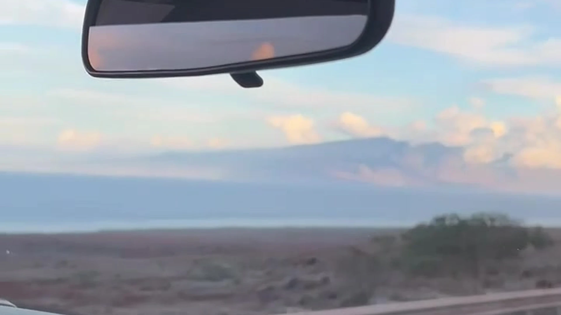 busty LupuWellness Nude onlyfans Exposed