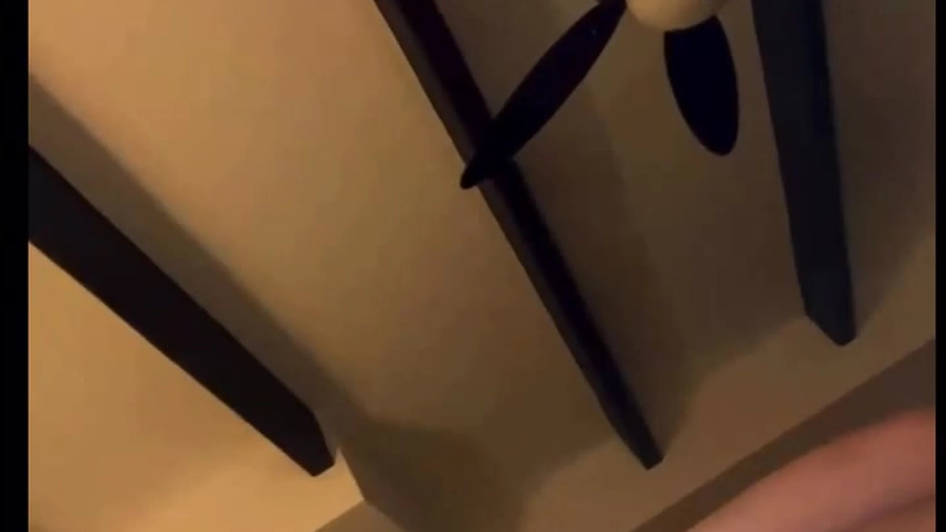 cute LupuWellness of Sensational